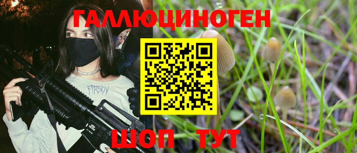 Псилоцибиновые грибы Cubensis Советская Гавань