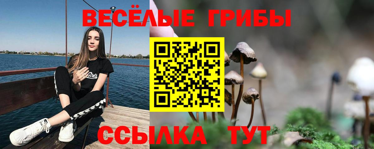 Советская Гавань  наркота  Галлюциногенные грибы Cubensis  Вход с VPN  Псилоцибиновые грибы Psilocybine cubensis 